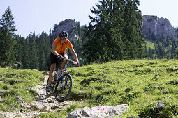 Mountainbiker downhill on path with broken stones, Bavaria, Germany