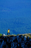 Frau wandert über einen ausgetzten Berggrat, Debela Pec, Hintergrund: Wald von Pokljuka, Triglav Nationalpark, Julische Alpen, Slowenien, Alpen,.