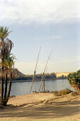 Sailing boats are moored at the bank of the nile, Luxor, Egypt