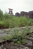 förderturm, zeche zollverein,  nordrhein westfalen, deutschland