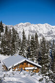 View over a snowy hill with Hochwurzenalm to the summit of the Dachsteinregion at horizon, Hochwurzen, Schladming, Ski Amade, Styria, Austria