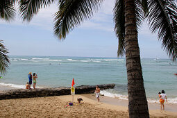 Palm tree, tourists, beach, visitor, Waikiki beach, Honolulu, United States of America, U.S.A.