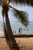 Palme, Palmenstrand, Baden, Strandleben, Touristen, Waikiki Beach, Honolulu, Vereinigte Staaten von Amerika, U.S.A.