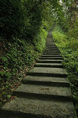 Pilgrimage route and stairs leading up the hill, Emei Shan, Sichuan province, China, Asia