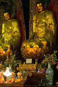 prayer service in Qiyuan Monastery with high ranking monks, Jiuhua Shan Village, Zhiyuan Monastery, Jiuhuashan, Mount Jiuhua, mountain of nine flowers, Anhui province, China, Asia