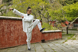 Taichi Mönch, Tai Shan,Taiji-Übung, Taoistischer Mönch Zhang Qingren demonstriert die hohe Kunst des Taichi, entlegenes Kloster Hou Shi Wu, Stone Fort, Steinfestung, Taishan, Provinz Shandong, Taishan, Provinz Shandong, UNESCO Weltkulturerbe, China, Asien