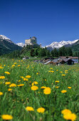 Schloss Tarasp über eine Blumenwiese, Unterengadin, Graubünden, Schweiz