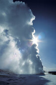 Geysir Old Faithful im Sonnenlicht, Yellowstone Nationalpark, Wyoming, USA, Amerika