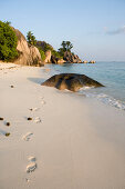 Footprints on Anse Source D'Argent Beach, La Digue Island, Seychelles