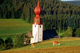 Wehrkirche, Urach, Schwarzwald, Baden-Württemberg, Deutschland