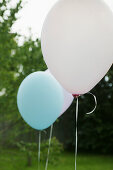 Luftballone,Fest Geburtstag