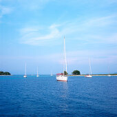 Sailboats anchoring in a bay, Dalmatia, Croatia