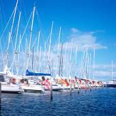 Segelboote im Bootshafen, Aero, Dänemark, Kieler Bucht