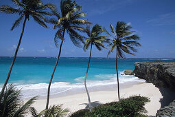 Coconut Trees & Bottom Bay Beach,Bottom Bay, St. Philip, Barbados, Carribean