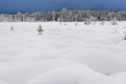 Almsee im Winter, Almtal, Oberösterreich, Österreich