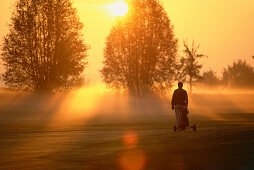 Silhouette of a man playing golf in the sunset, golf course near Starnberg, Upper Bavaria, Germany
