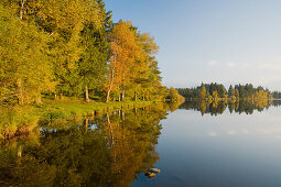 Lake Schmuttersee with water reflection and forest, near Fuessen, Allgaeu, Upper Bavaria, Bavaria, Germany