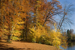 Lake Deixlfurt and forest in Autumn colours, near Tutzing, Upper Bavaria, Bavaria, Germany