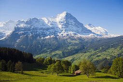 View to Eiger north face (3970 m), Grindelwald, Bernese Oberland (highlands), Canton of Bern, Switzerland