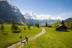 Ein älteres Paar auf eine Wanderung zu Grosse Scheidegg, Eiger 3970 m und Schreckhorn 4078 m im Hintergrund, Grindelwald, Berner Oberland, Kanton Bern, Schweiz