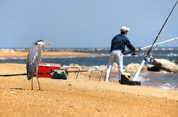 Sandy Point, Chesapeake Bay, Maryland, United States