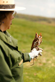 Person with owl, Shenandoah, Virginia, United States, America