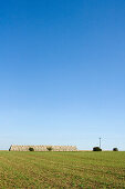 Bales of straw on field, Weimar, Thuringia, Germany