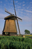 Windmühle in idyllischer Landschaft, Niederlande, Europa