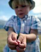 Junge hält eine Heuschrecke auf der Hand, Simmental, Berner Alpen, Kanton Bern, Schweiz