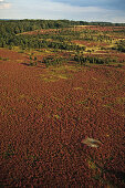 aerial photo of the Lüneburg heath, nature reserve, Lower Saxony, northern Germany