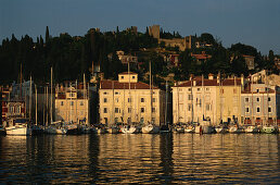 View of Piran harbour in the evening light with reflection, Piran, Slovenia