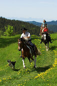 Three horse riders trotting through a meadow with a dog, Muehlviertel, Upper Austria, Austria