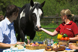 Couple with horse having lunch outside in the open, Muehlviertel, Upper Austria, Austria
