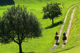Zwei Reiter im Schritt auf einem Feldweg in der Morgenstimmung, Mühlviertel, Oberösterreich, Österreich