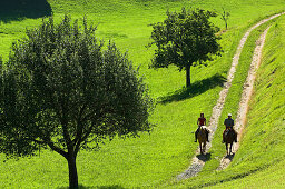 Two horseriders riding through a meadow, Muehlviertel, Upper Austria, Austria