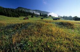 haystacks and humpy meadow of Klais, Garmisch-Partenkirchen, Upper Bavaria, Germany