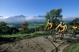 Gruppe von vier Mountainbikern am Samerberg, Chiemgau, Oberbayern, Bayern, Deutschland