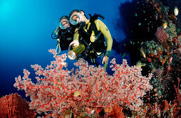 Two Scuba diver examine ship wreck Liberty, Bali, Tulamben, Indian Ocean, Indonesia