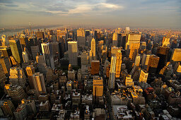 Blick vom Empire State Building, uptown, Richtung 5th Avenue, Skyline, New York City, New York, USA