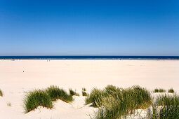 Beach and Dune, Juist, East Frisia, North Sea, Lower Saxony, Germany