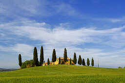 Farm with cypress trees near Pienza, Crete Senesi, Tuscany, Italy