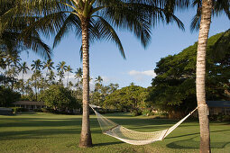 Hängematte zwischen Palmen im Waimea Plantation Cottages Resort, Waimea, Kauai, Hawaii, USA