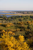 Overview, Hiddensee, Baltic Sea, Mecklenburg-Western Pomerania, Germany