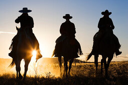 cowboys riding at sunset, Oregon, USA