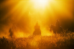 Cowboys reiten bei Sonnenuntergang, Oregon, USA