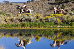 cowboys riding, Oregon, USA