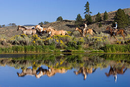 Cowgirl und Cowboys mit Pferden, Wilder Westen, Oregon, USA