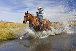 Cowboy riding in water, wildwest, Oregon, USA
