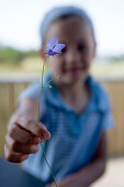 Girl presenting a single bell flower, Sylt island, Schleswig-Holstein, Germany