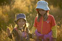 Children walking through high gras, sunset at the Westcoast, near Haast, South Island, New Zealand